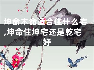 坤命木命适合住什么宅,坤命住坤宅还是乾宅好