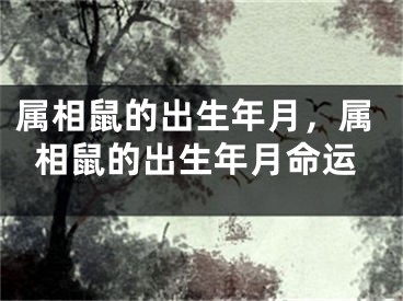 属相鼠的出生年月，属相鼠的出生年月命运