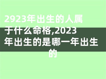 2923年出生的人属于什么命格,2023年出生的是哪一年出生的