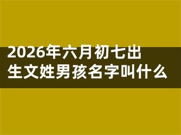 2026年六月初七出生文姓男孩名字叫什么