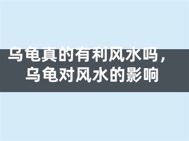 乌龟真的有利风水吗，乌龟对风水的影响
