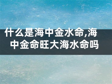 什么是海中金水命,海中金命旺大海水命吗