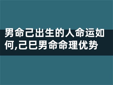 男命己出生的人命运如何,己巳男命命理优势