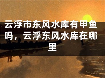云浮市东风水库有甲鱼吗，云浮东风水库在哪里