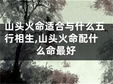 山头火命适合与什么五行相生,山头火命配什么命最好