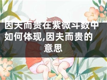 因夫而贵在紫微斗数中如何体现,因夫而贵的意思
