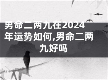 男命二两九在2024年运势如何,男命二两九好吗 