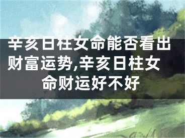 辛亥日柱女命能否看出财富运势,辛亥日柱女命财运好不好