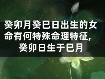癸卯月癸巳日出生的女命有何特殊命理特征,癸卯日生于巳月
