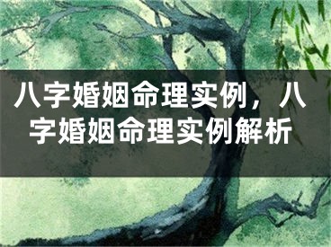 八字婚姻命理实例，八字婚姻命理实例解析