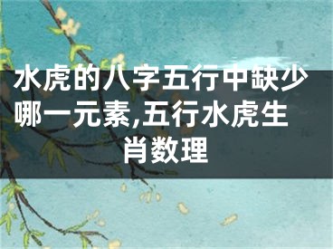 水虎的八字五行中缺少哪一元素,五行水虎生肖数理
