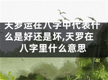 天罗运在八字中代表什么是好还是坏,天罗在八字里什么意思