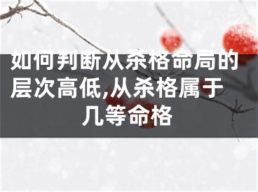 如何判断从杀格命局的层次高低,从杀格属于几等命格