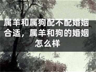 属羊和属狗配不配婚姻合适，属羊和狗的婚姻怎么样
