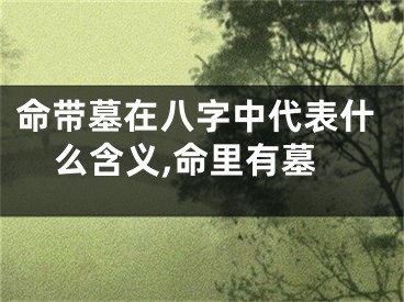 命带墓在八字中代表什么含义,命里有墓