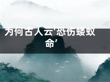 为何古人云‘恐伤蝼蚁命’