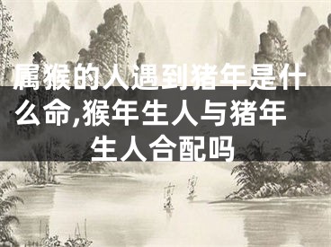 属猴的人遇到猪年是什么命,猴年生人与猪年生人合配吗