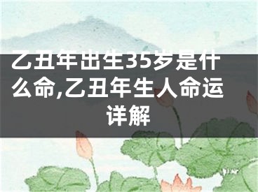 乙丑年出生35岁是什么命,乙丑年生人命运详解