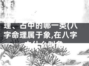 八字命理属于象、数、理、占中的哪一类(八字命理属于象,在八字中什么叫象