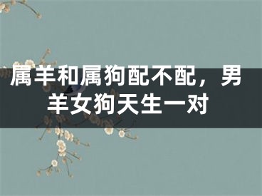 属羊和属狗配不配，男羊女狗天生一对