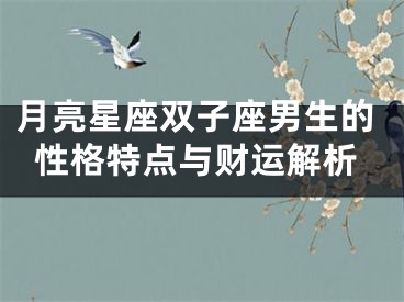 月亮星座双子座男生的性格特点与财运解析