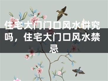 住宅大门门口风水讲究吗，住宅大门口风水禁忌