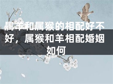 属羊和属猴的相配好不好，属猴和羊相配婚姻如何