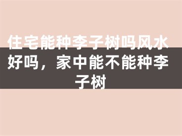 住宅能种李子树吗风水好吗,家中能不能种李子树