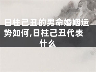 日柱己丑的男命婚姻运势如何,日柱己丑代表什么