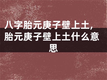 八字胎元庚子壁上土,胎元庚子壁上土什么意思