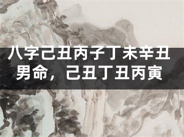 八字己丑丙子丁未辛丑男命，己丑丁丑丙寅