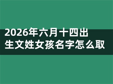 2026年六月十四出生文姓女孩名字怎么取
