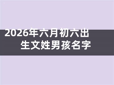 2026年六月初六出生文姓男孩名字