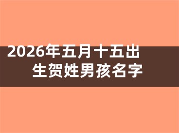 2026年五月十五出生贺姓男孩名字
