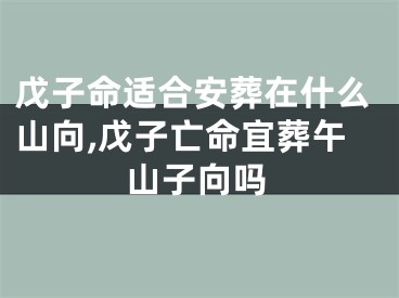 戊子命适合安葬在什么山向,戊子亡命宜葬午山子向吗