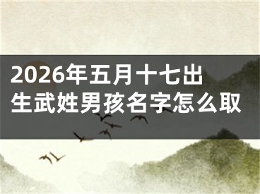 2026年五月十七出生武姓男孩名字怎么取