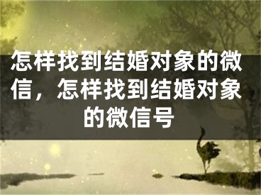 怎样找到结婚对象的微信，怎样找到结婚对象的微信号