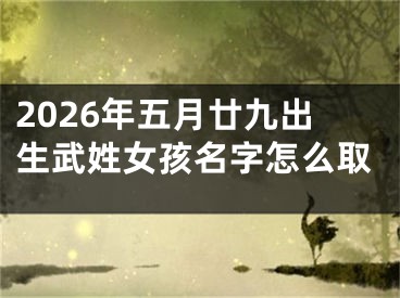 2026年五月廿九出生武姓女孩名字怎么取