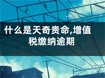 什么是天奇贵命,增值税缴纳逾期