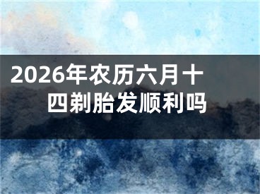 2026年农历六月十四剃胎发顺利吗