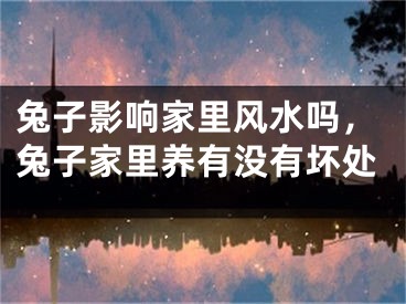 兔子影响家里风水吗，兔子家里养有没有坏处