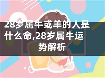28岁属牛或羊的人是什么命,28岁属牛运势解析