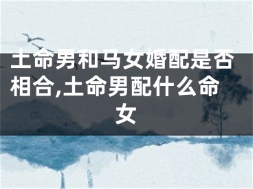 土命男和马女婚配是否相合,土命男配什么命女