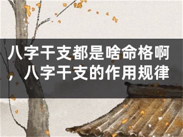 八字干支都是啥命格啊，八字干支的作用规律