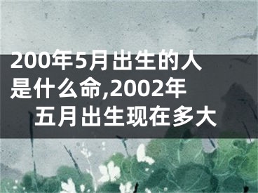 200年5月出生的人是什么命,2002年五月出生现在多大
