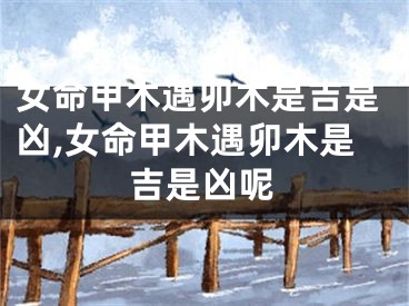 女命甲木遇卯木是吉是凶,女命甲木遇卯木是吉是凶呢