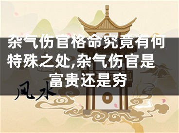 杂气伤官格命究竟有何特殊之处,杂气伤官是富贵还是穷