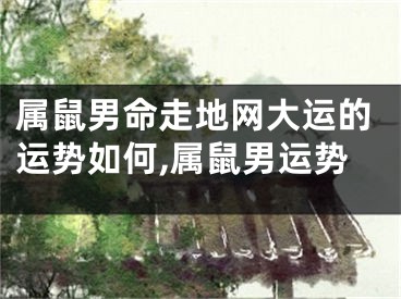 属鼠男命走地网大运的运势如何,属鼠男运势