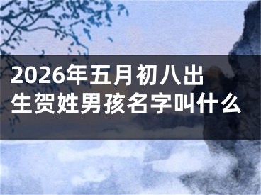 2026年五月初八出生贺姓男孩名字叫什么