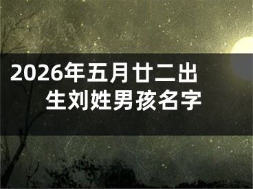 2026年五月廿二出生刘姓男孩名字